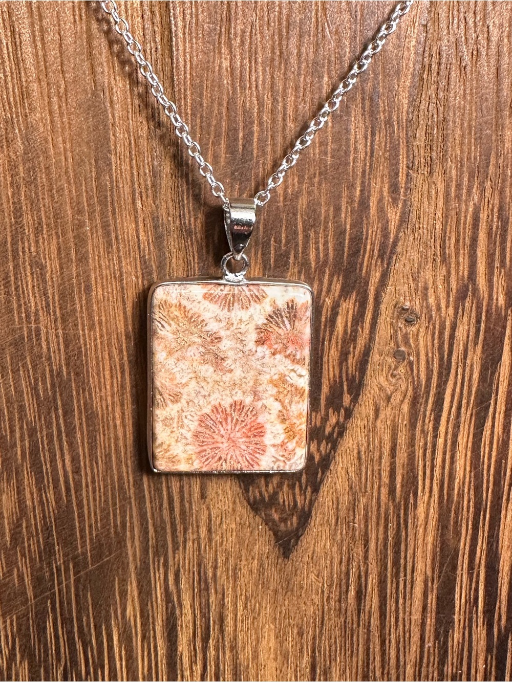 Coral Fossil Pendant Necklace on Silver Plated Box Chain - Picture 12 of 16